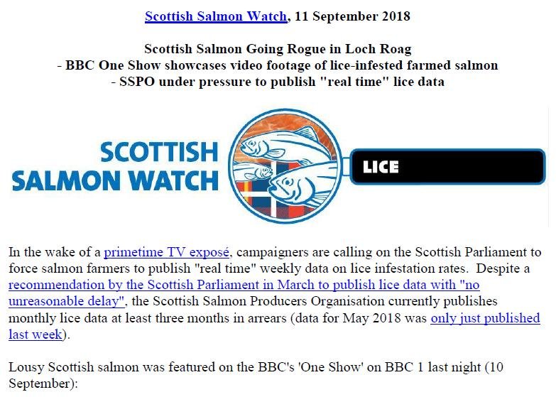 PR Going Rogue in Loch Roag 11 September 2018 #1