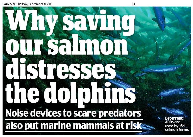 Daily Mail 11 Sept 2018 newspaper version #1