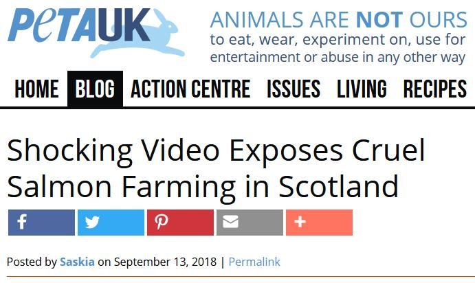 PETA on Shocking Video 13 Sept 2018 #1