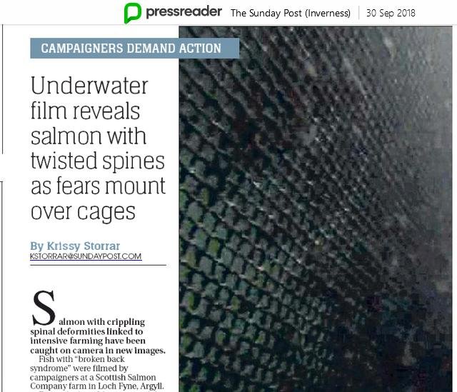 Sunday Post 30 September 2018 #1 filming article