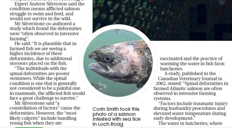 Sunday Post 30 September 2018 #2 filming article