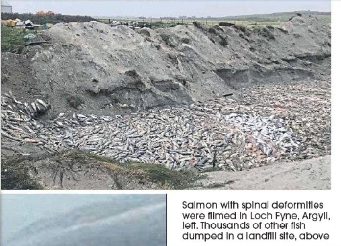 Sunday Post 30 September 2018 #5 filming article photo