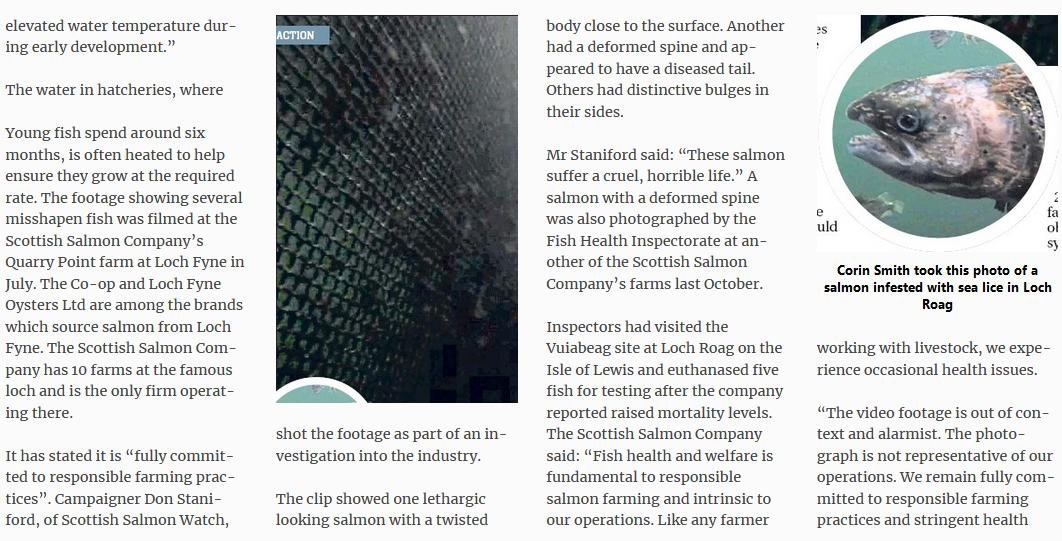 Sunday Post 30 Sept 2018 Press Reader version #2 Film article