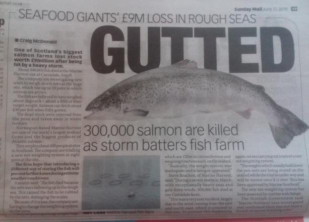 Sunday Mail 17 June 2018 newspaper version in full Sunday Mail 17 June 2018 newspaper version in full