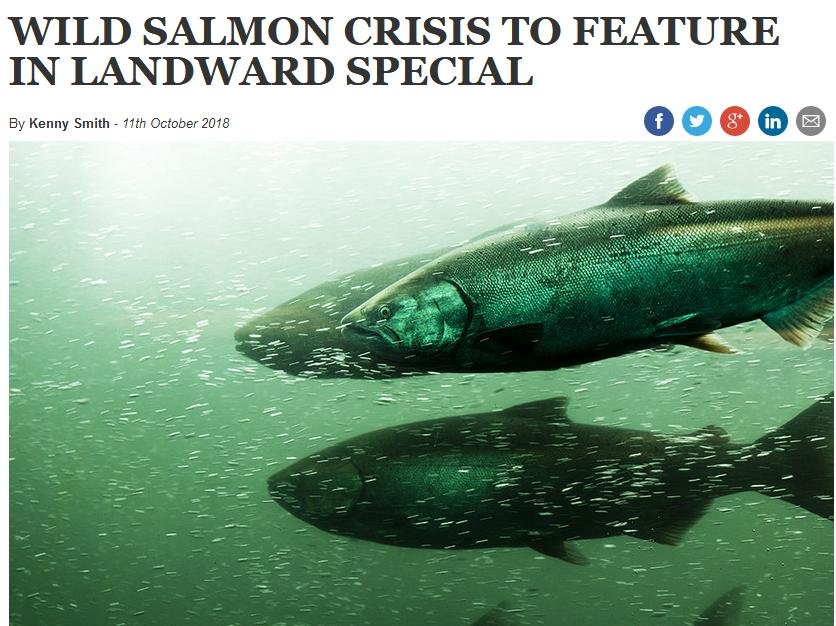 Scottish Field 11 Oct 2018 #1