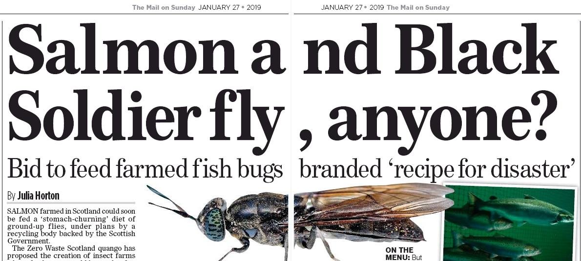 Mail On Sunday 27 Jan 2019 #1