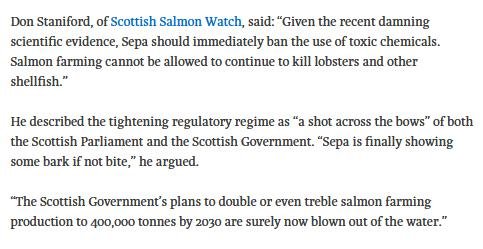 Ferret 7 Nov 2018 #4