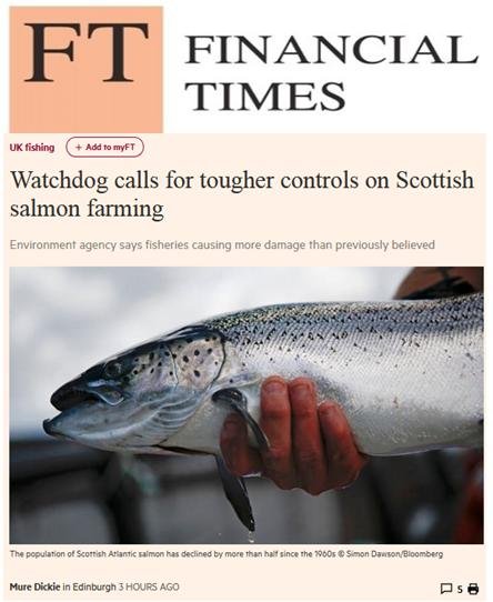 FT 7 November 2018 #1