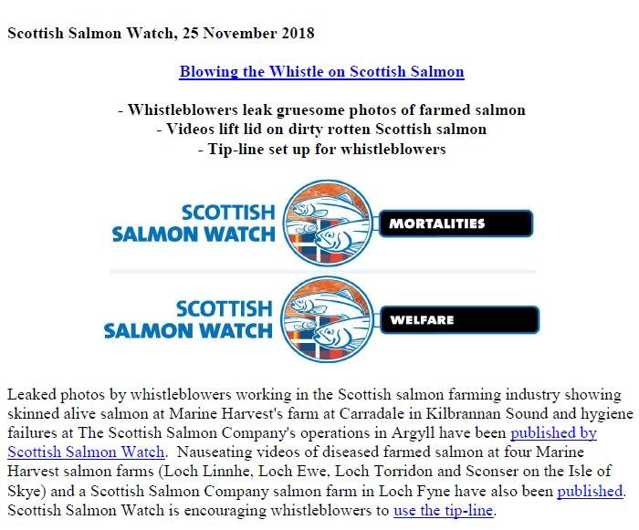 PR Blowing the Whistle on Scottish Salmon 25 Nov 2018 #1 PR Blowing the Whistle on Scottish Salmon 25 Nov 2018 #1