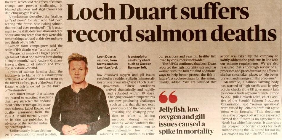 Sunday Times 25 Nov 2018 #2