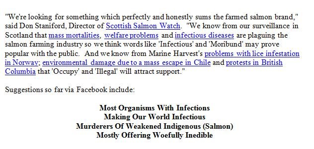 Competition Launch Nov 2018 #4