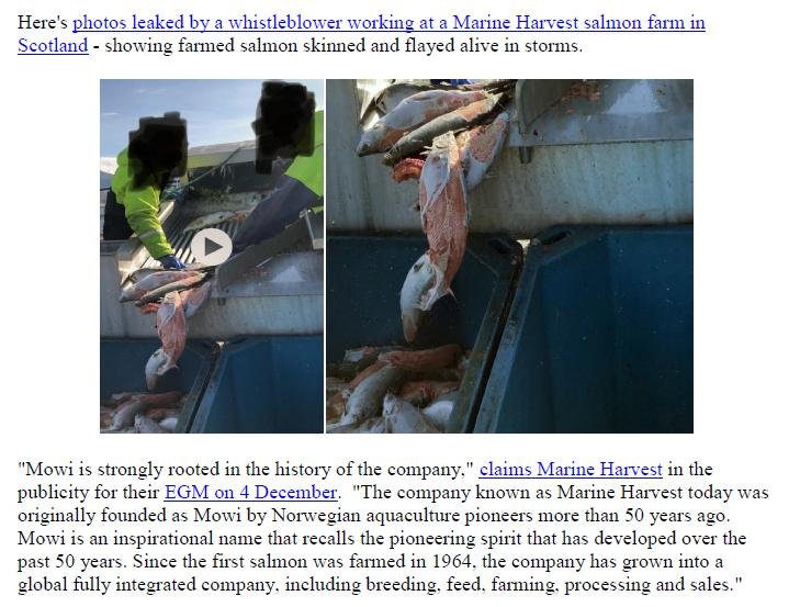 PR Say No Way to MOWI 30 Nov 2018 #5