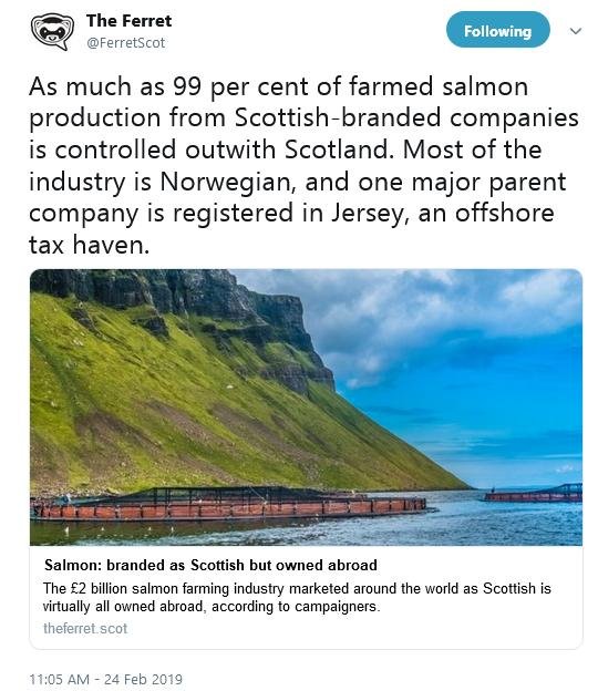 Ferret Tweet 24 Feb 2019