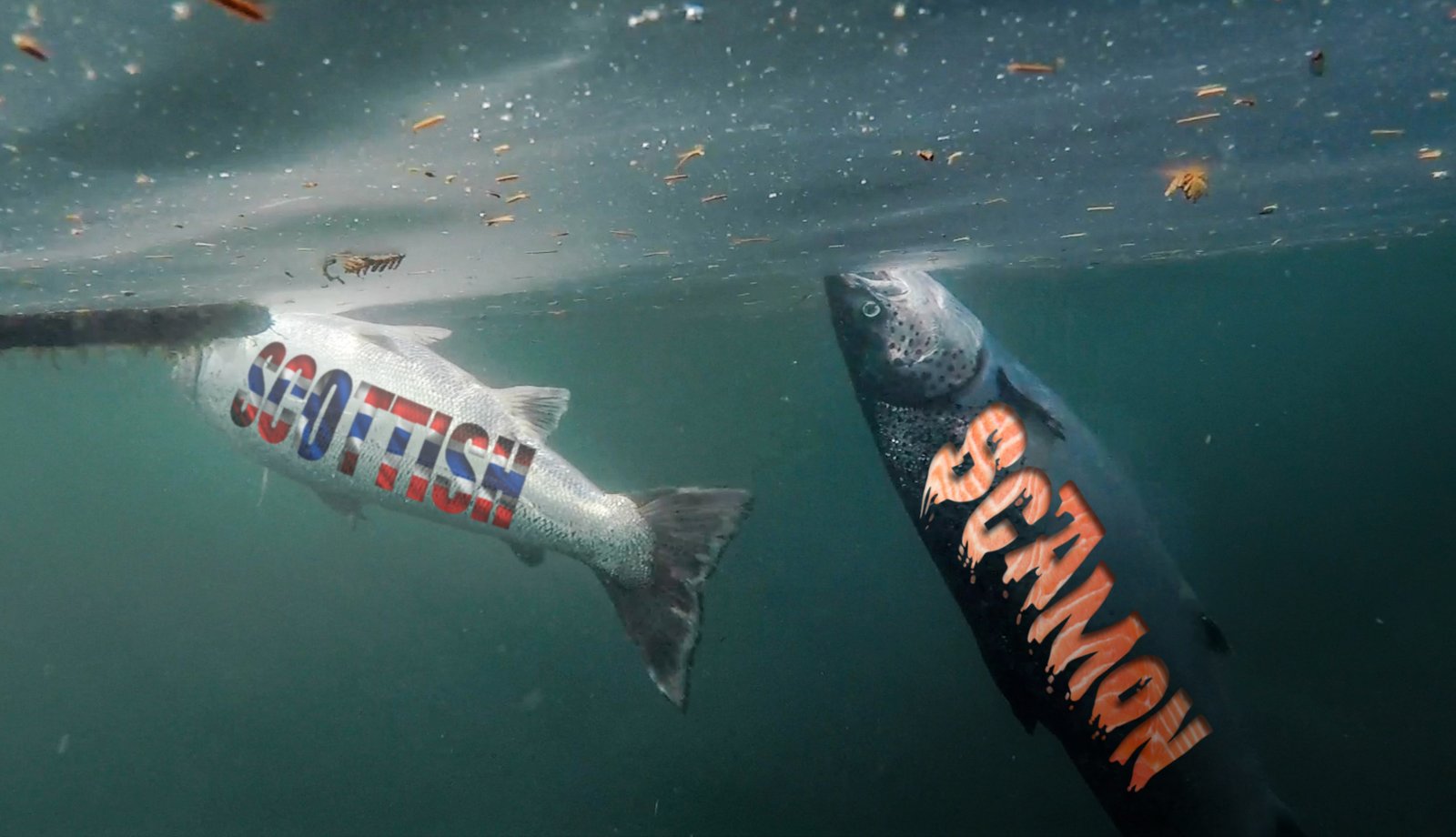 Scottish Scamon words on floating fish Scottish Scamon words on floating fish