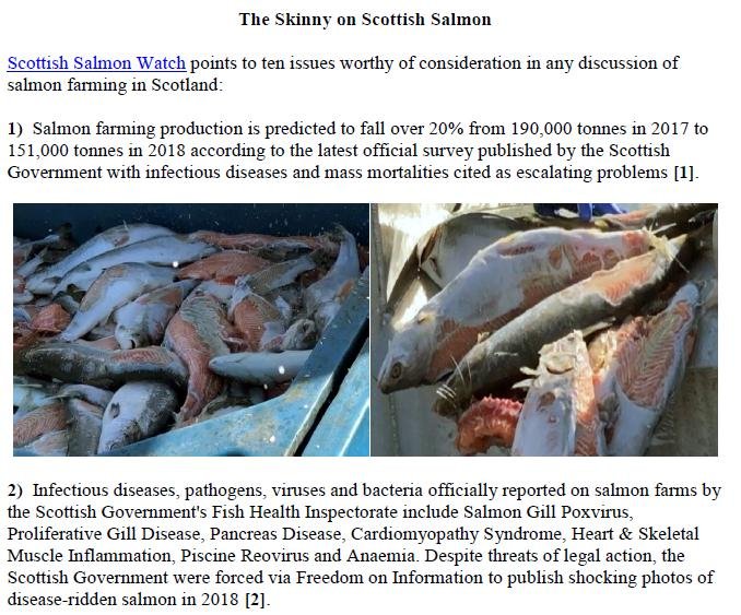 PR Parliament Grills Scottish Salmon 5 Feb 2019 #5