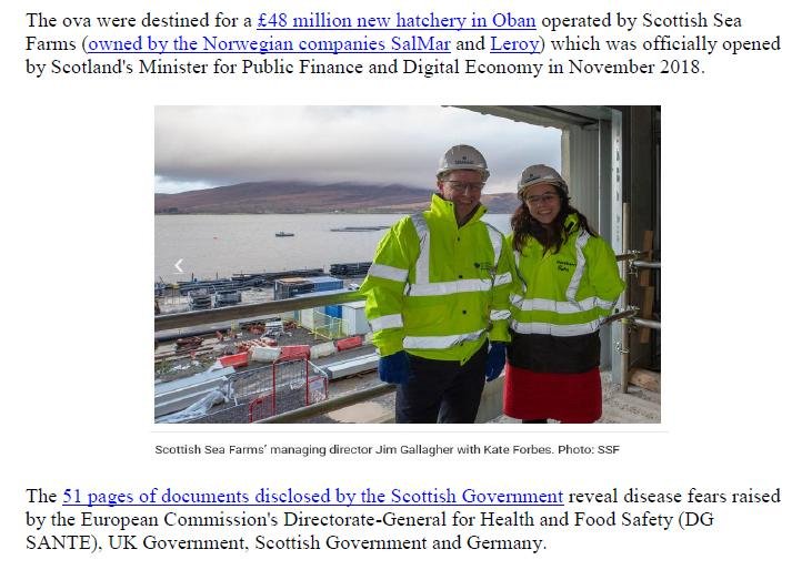 PR Game Ova for Scottish Salmon 13 Feb 2019 #2