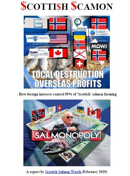 Report Scottish Scamon Feb 2019 front page