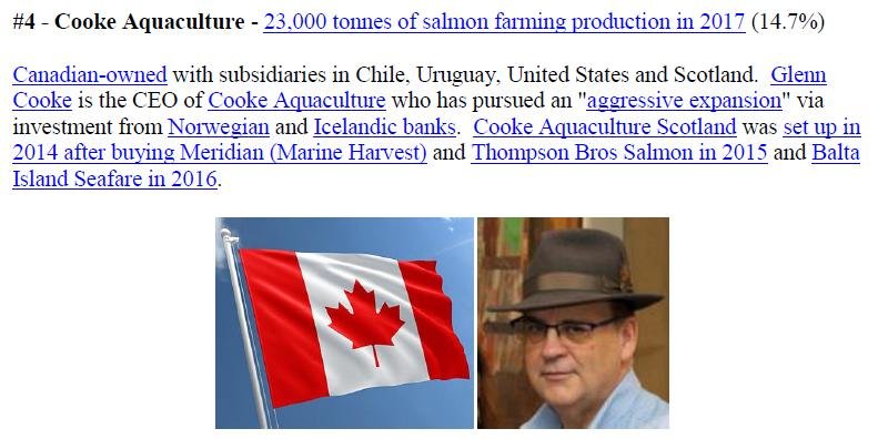 PR Scottish Scamon 24 February 2019 #9 Cooke