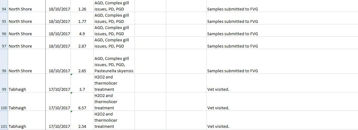 FHI Morts #12 FHI Morts #12