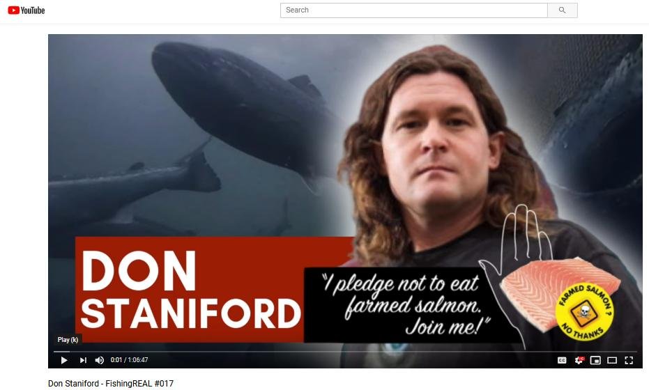 Fishing REAL You Tube March 2019 Fishing REAL You Tube March 2019