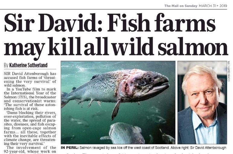 Mail On Sunday 31 March 2019 #1 Sir David Mail On Sunday 31 March 2019 #1 Sir David