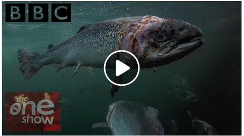 Corin photo One Show iPlayer