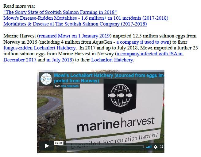 PR Easter Egg Ban for Scottish Salmon 7 April 2019 #7