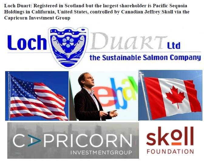 Scottish Scamon report LD #3