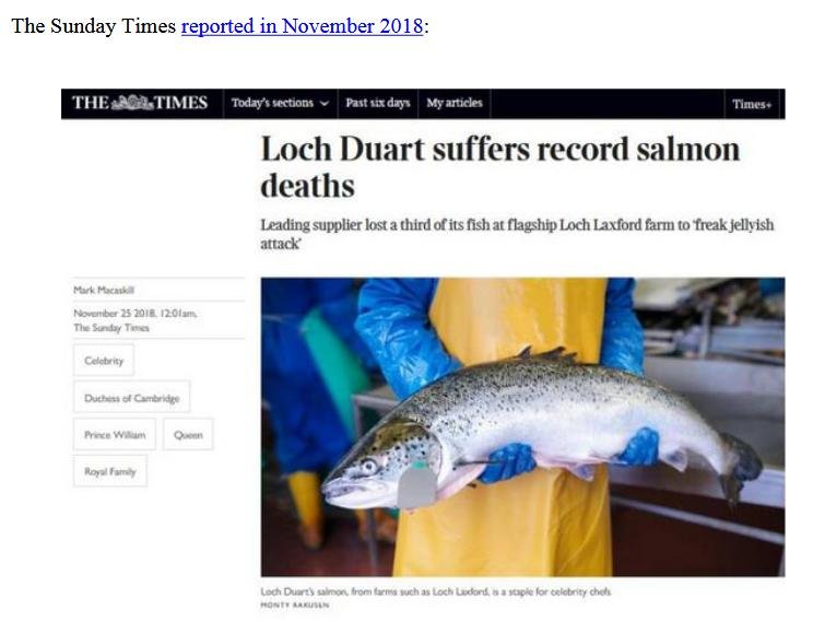 Scottish Scamon report LD #5