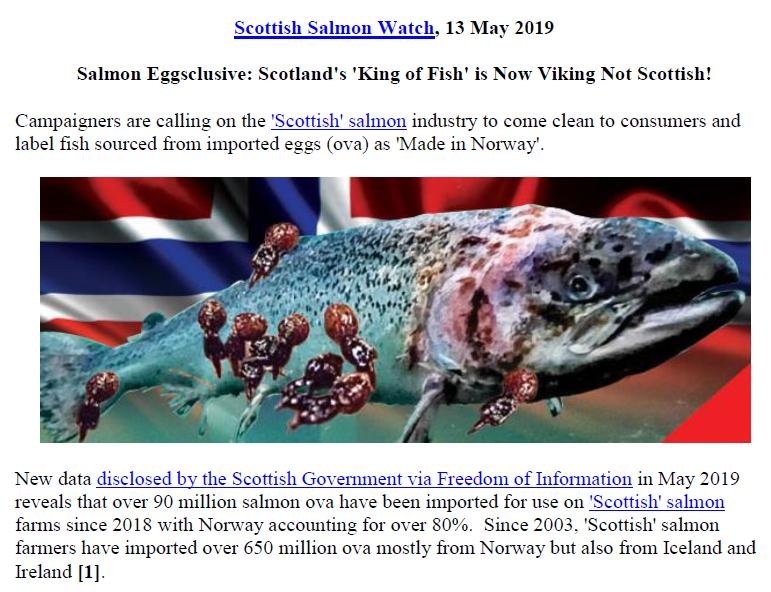 PR Eggsclusive King of Fish Now Viking Not Scottish 13 May 2019 #1 PR Eggsclusive King of Fish Now Viking Not Scottish 13 May 2019 #1