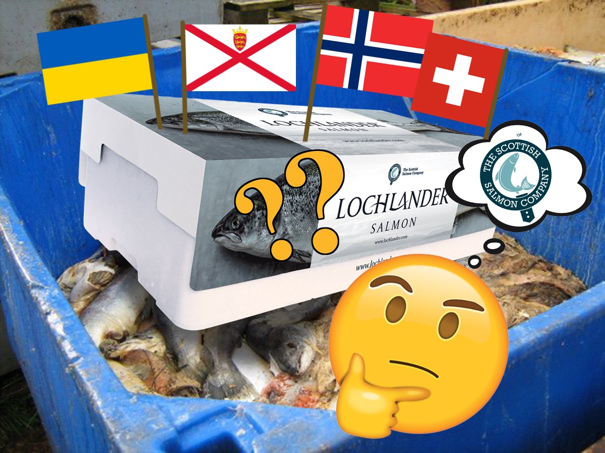 SSC Lochlander flags in mort bin SSC Lochlander flags in mort bin