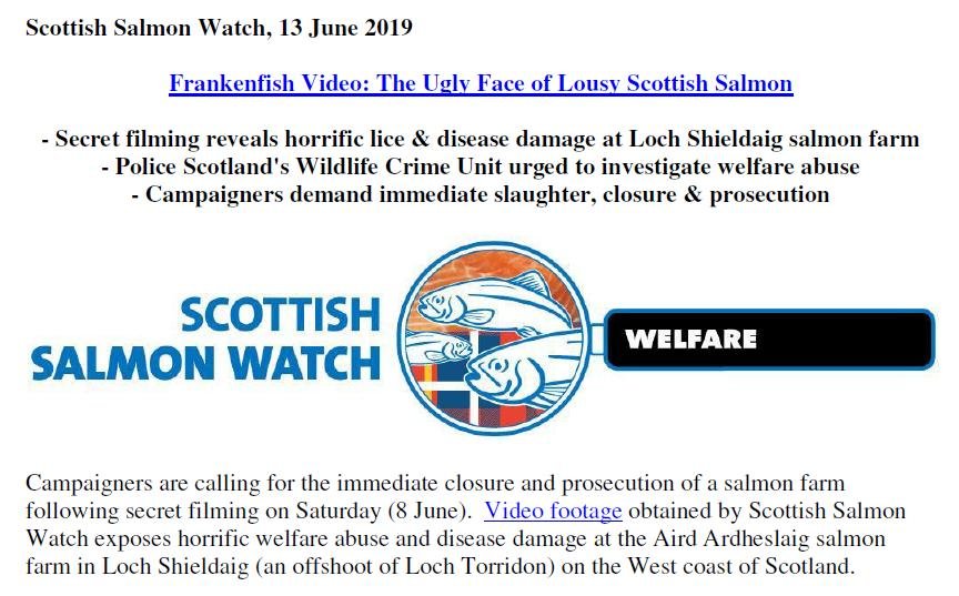 PR Ugly Face 13 June 2019 #1 PR Ugly Face 13 June 2019 #1