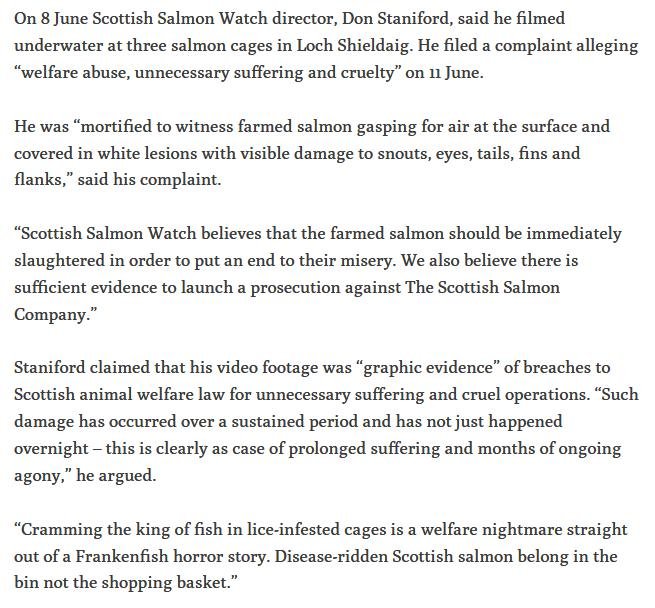 Ferret sick footage 13 June 2019 #4