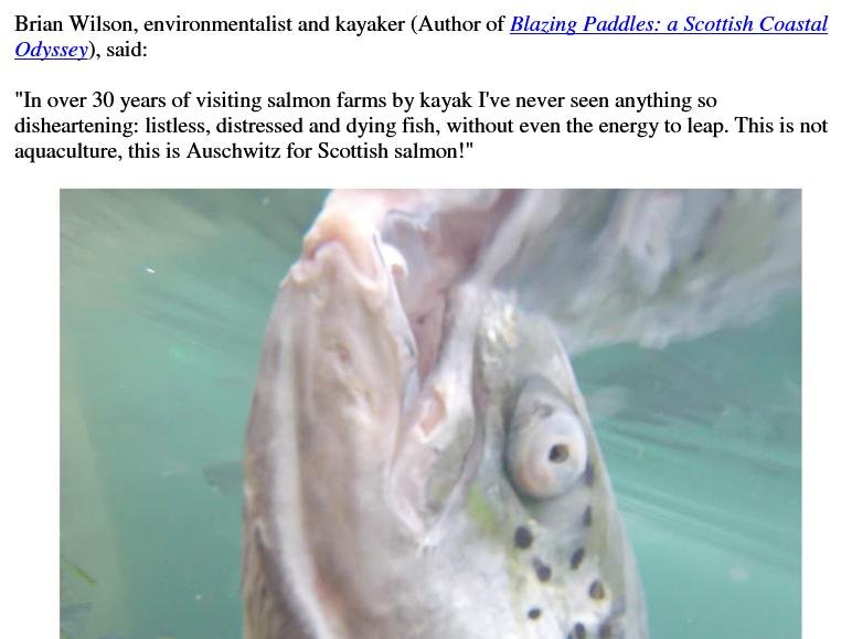 Brian Wilson quote Brian Wilson quote