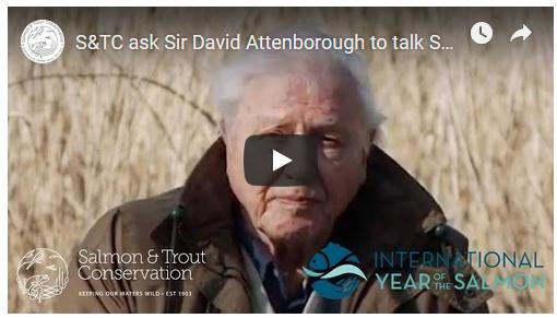 Sir David video Sir David video