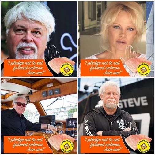 Sea Shepherd foursome