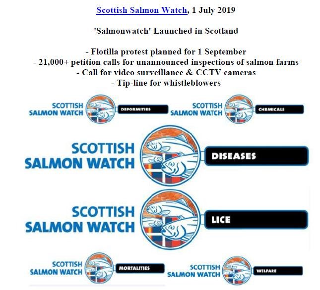 PR Salmonwatch Launched in Scotland 1 July 2019 #1