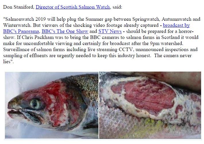 PR Salmonwatch Launched in Scotland 1 July 2019 #3