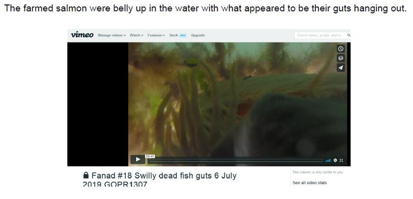 Secret Filming in Ireland - July 2019 #2 PR