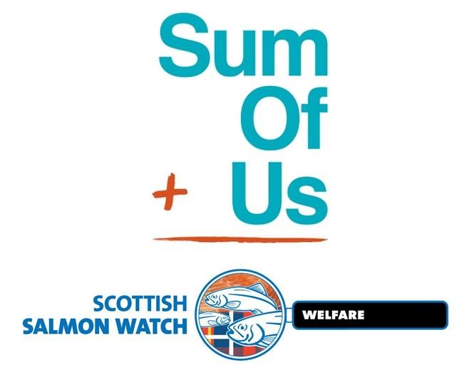 SumOfUs SSW logos