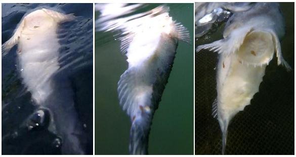 Collage #1 hanging Collage #1 hanging