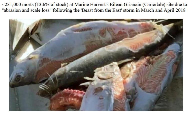 Carradale morts Carradale morts