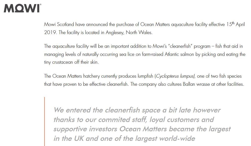 Mowi Welsh lumpfish #1 Mowi Welsh lumpfish #1