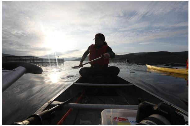 Don #1 Canoe Don #1 Canoe