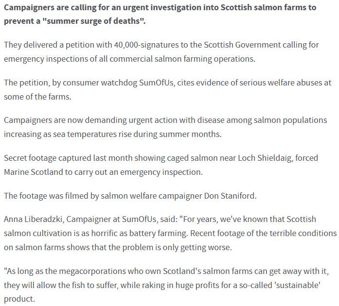 STV News 22 July 2019 article #2