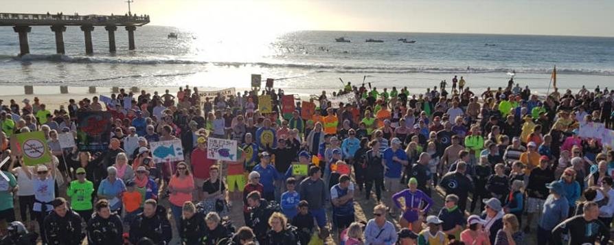 Swim against fish farm photo #3 Swim against fish farm photo #3