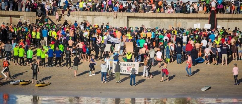 Swim against fish farm photo #2 Swim against fish farm photo #2