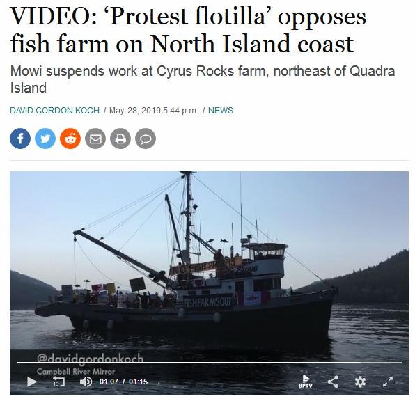 Swim against fish farm #8 Swim against fish farm #8