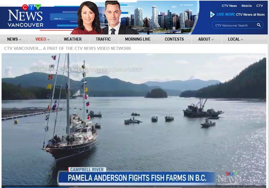 Swim against fish farm #14 Swim against fish farm #14