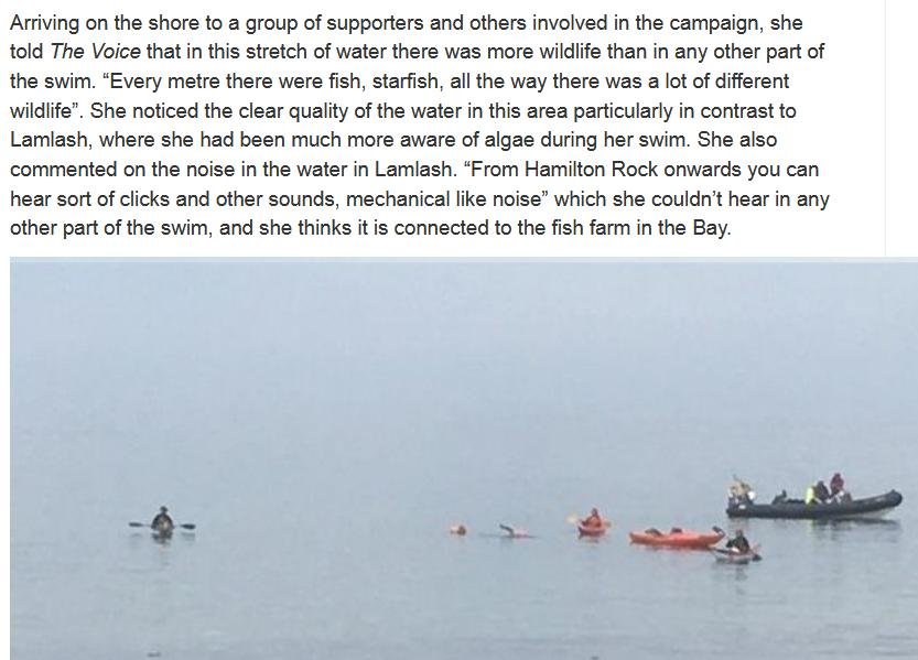 Swim against fish farm #19 Swim against fish farm #19